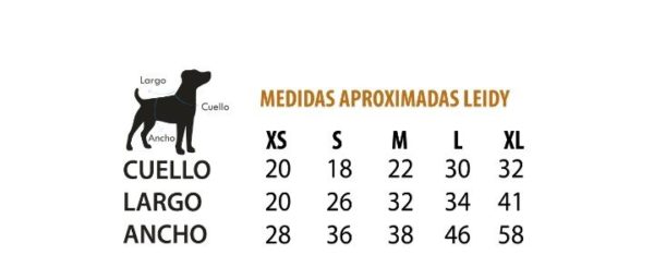 Vestido  Ladydy - Imagen 2