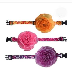 Collar PomPom