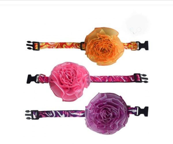 Collar PomPom