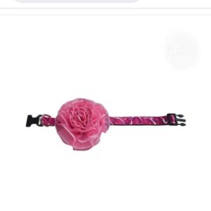 Collar PomPom