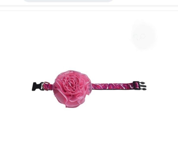 Collar PomPom - Imagen 2