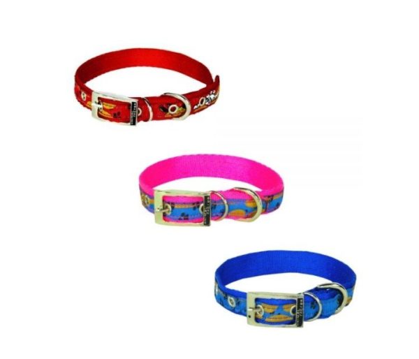 Collar Banda