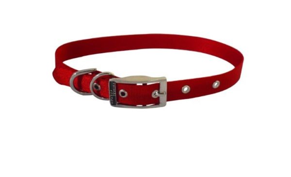 Collar Sencillo - Imagen 3
