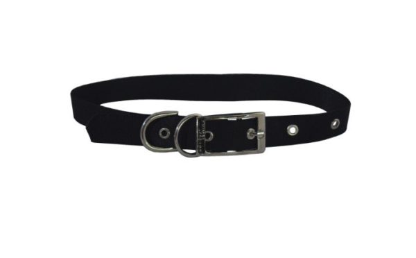 Collar Sencillo - Imagen 5