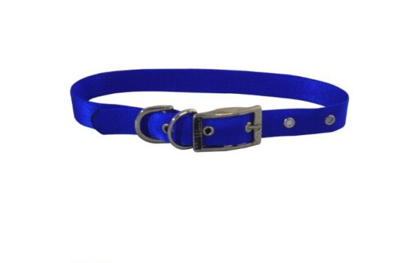 Collar Sencillo - Imagen 4