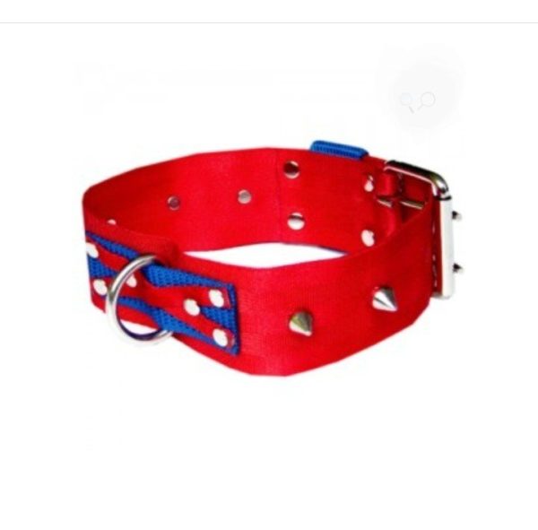 Collar Super Ancho Con Taches