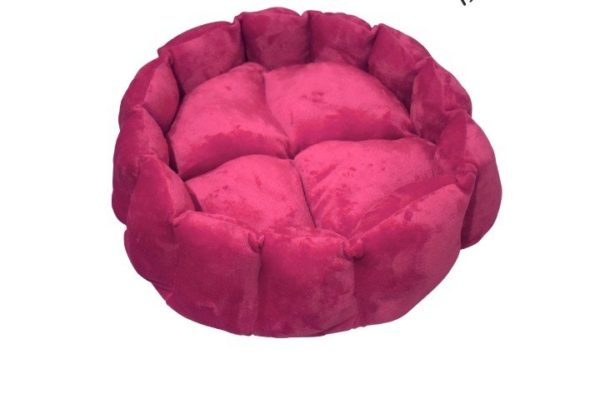 Cama Termica Gold - Imagen 3