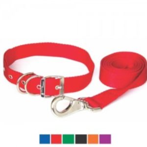 COLLARES- TRAILLAS