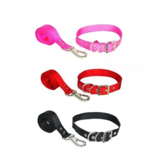 Trailla Collar Sencillo