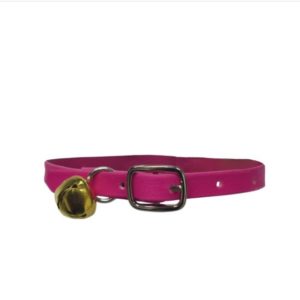 COLLARES PARA GATOS