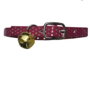 Collar labrado para Gato