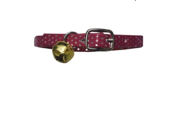 Collar labrado para Gato - Imagen 2
