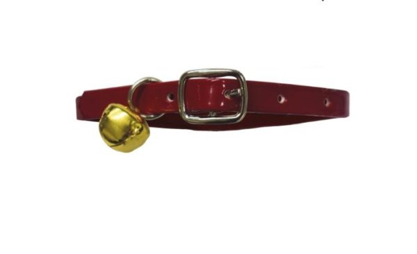 Collar labrado para Gato - Imagen 5