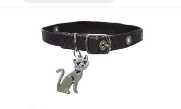 Collar Para Gato Con Dije - Imagen 5