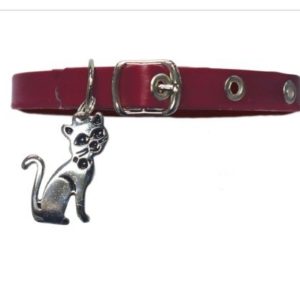 Collar Para Gato Con Dije