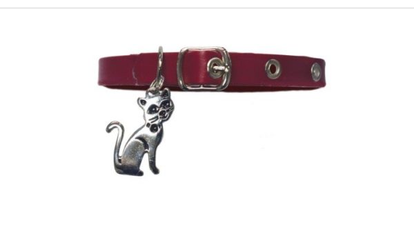 Collar Para Gato Con Dije - Imagen 2