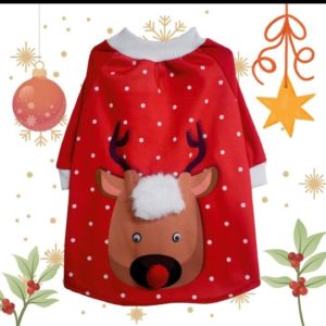 Navidad Para Tu Mascota