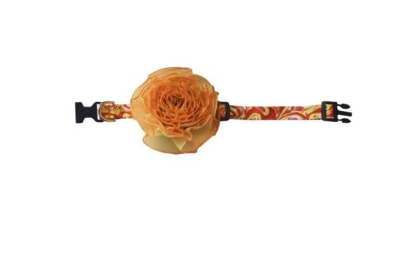 Collar pompom - Imagen 4