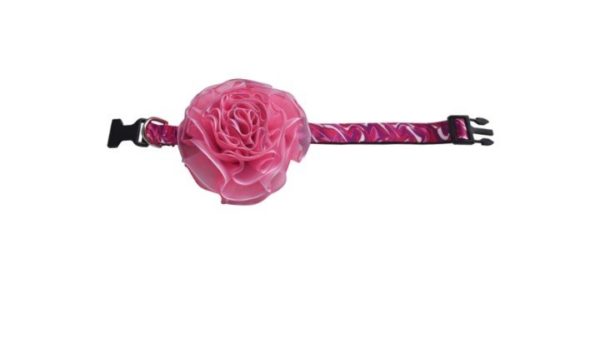 Collar pompom - Imagen 2