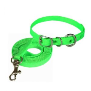 Trailla Collar Mini