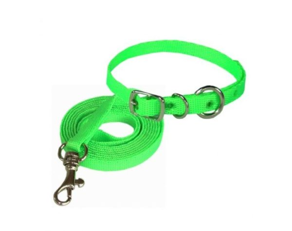 Trailla Collar Mini